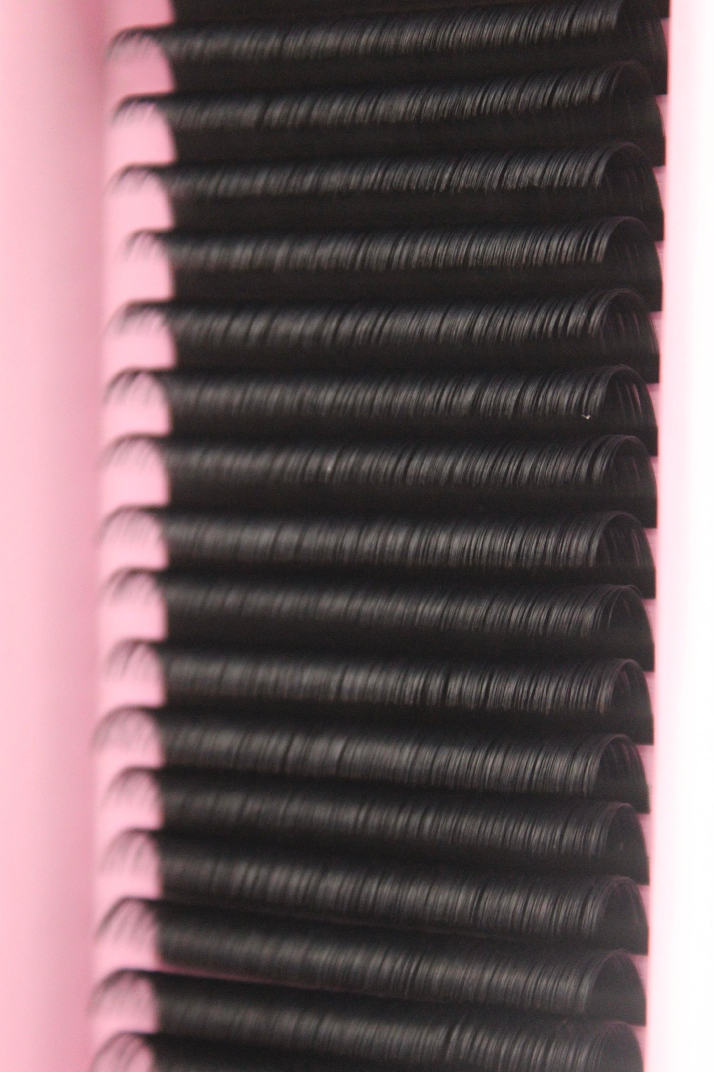 Cashmere Mink Trays (CC Curl)